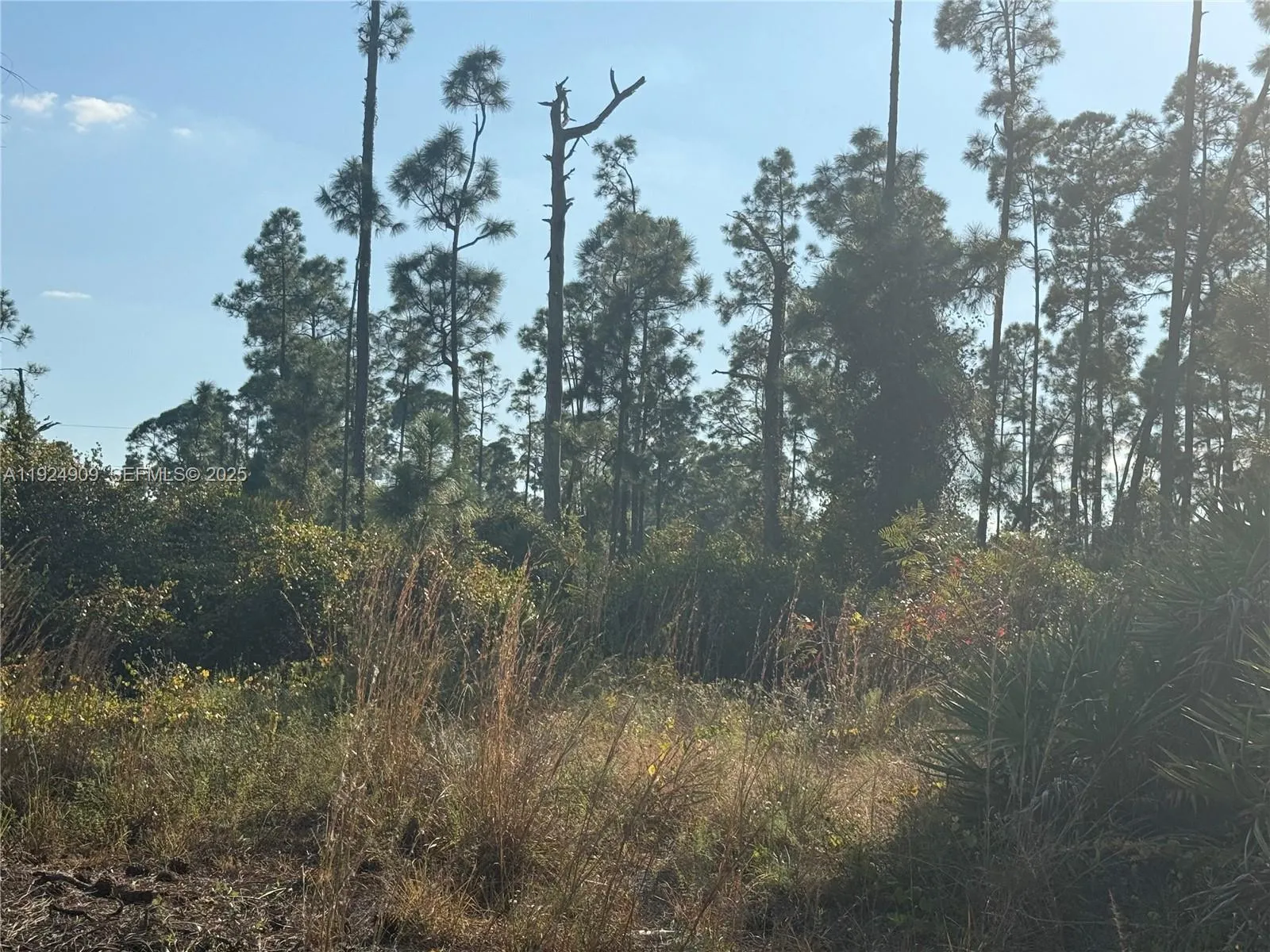 Listing  1088/1090 Ainsworth Street E, Lehigh Acres, FL 33974, Lehigh Acres, FL 33974