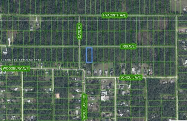 Listing  1141 Iris Avenue, Sebring, FL 33875, Sebring, FL 33875