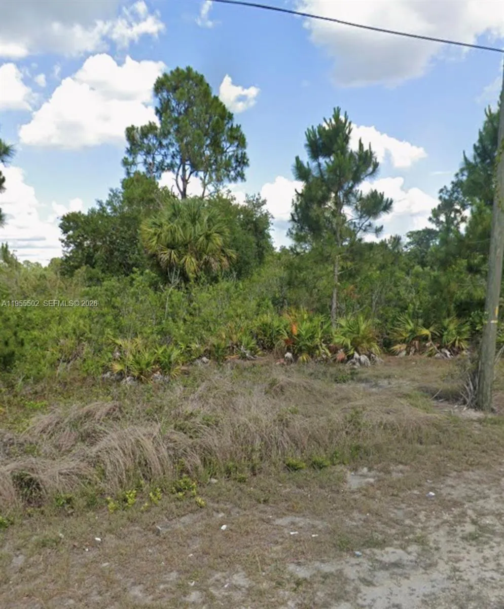 Listing  169 Thornton Avenue S, Lehigh Acres, FL 33974, Lehigh Acres, FL 33974