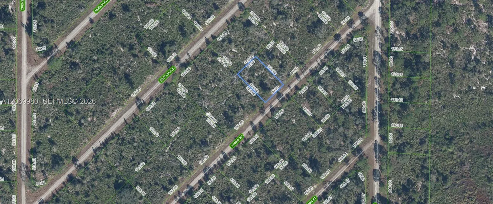Listing  3517 Horne Street, Lake Placid, FL 33852, Lake Placid, FL 33852