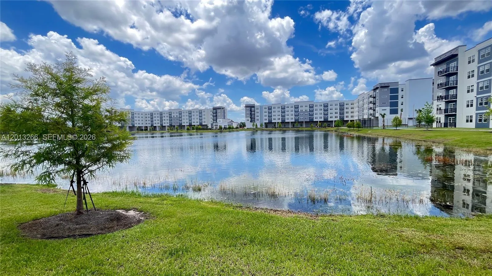Listing  5579 Millenia Park Boulevard 318, Orlando, FL 32839, Orlando, FL 32839