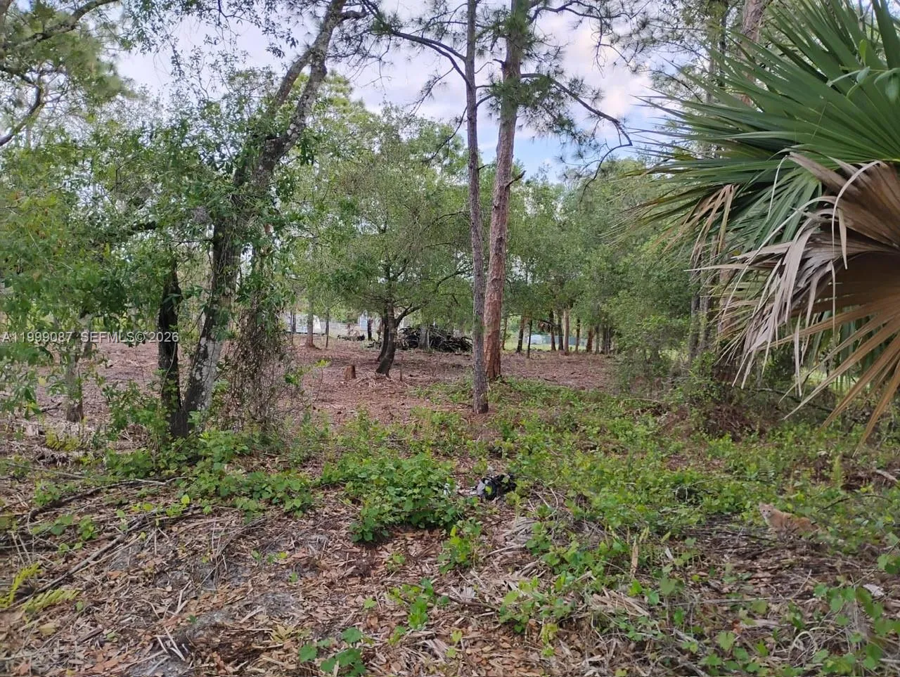 Listing  845 Appaloosa Avenue, Clewiston, FL 33440, Clewiston, FL 33440
