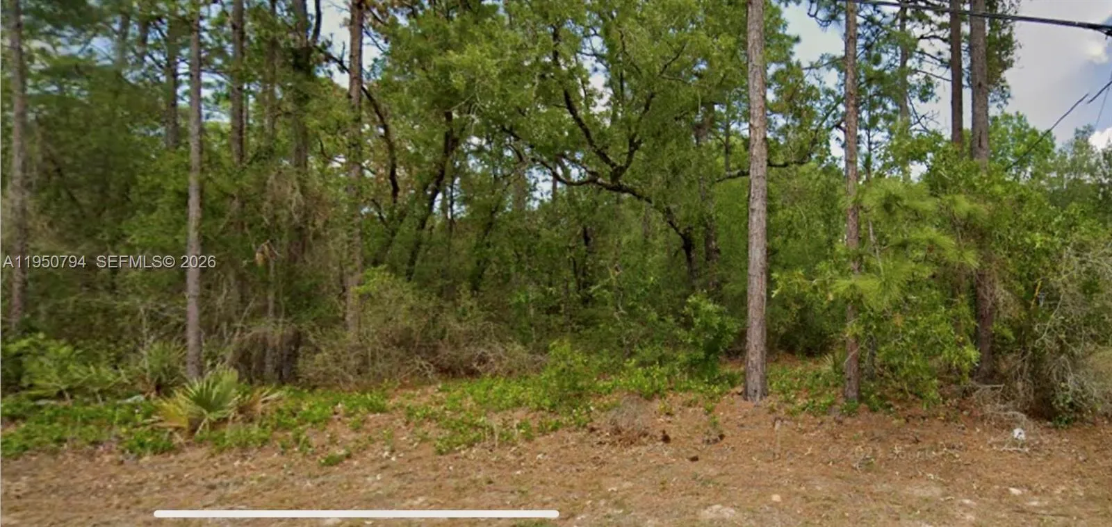 Listing  8550 N Citrus Springs Boulevard, FL 34434, FL 34434