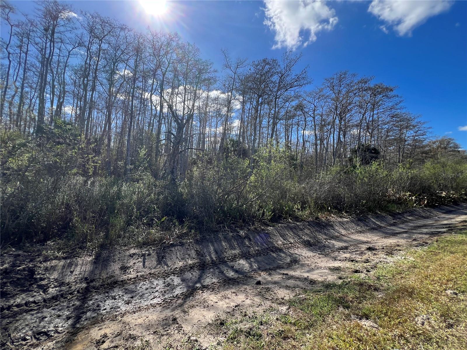 View details of listing 64TH AVE NE NAPLES with MLS# A4677919