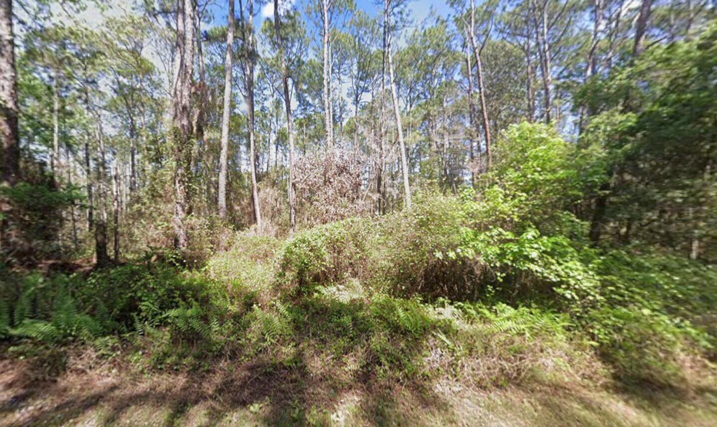 Listing  416 Palm Way, Georgetown, FL 32139, Georgetown, FL 32139
