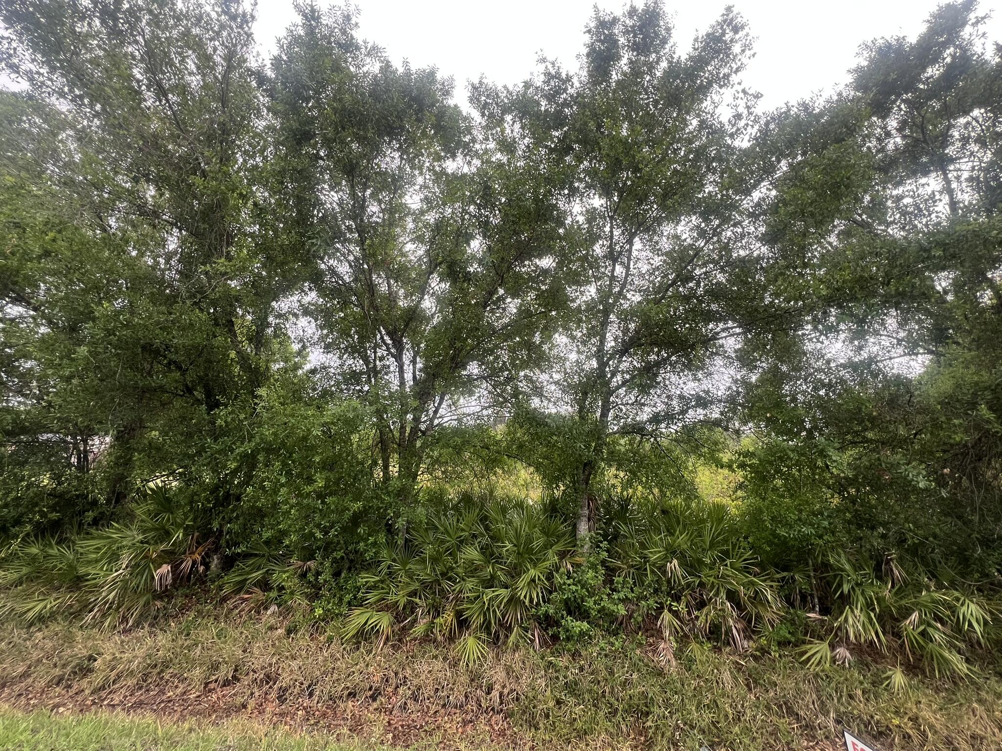 View details of listing 3347 NW 17th Avenue, Okeechobee, FL 34972 Okeechobee with MLS#