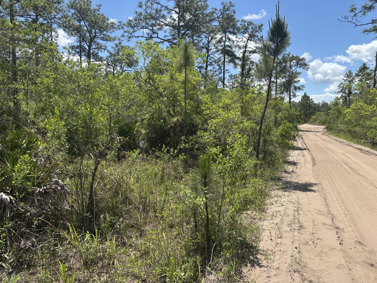 View details of listing 0 Holopaw Groves Road, St. Cloud, FL 34772 St. Cloud with MLS#