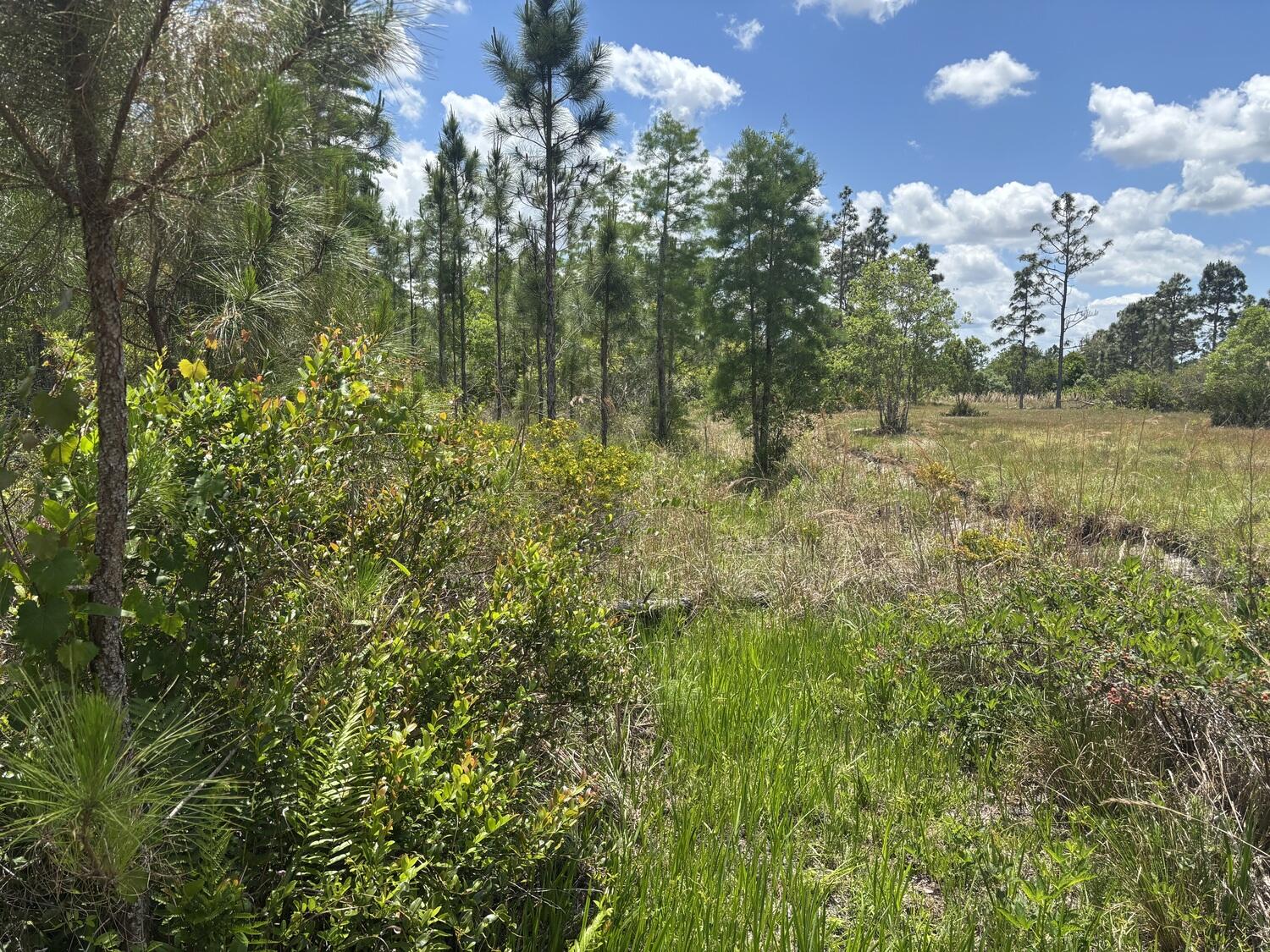 View details of listing 0 Holopaw Groves Road, St. Cloud, FL 34772 St. Cloud with MLS#