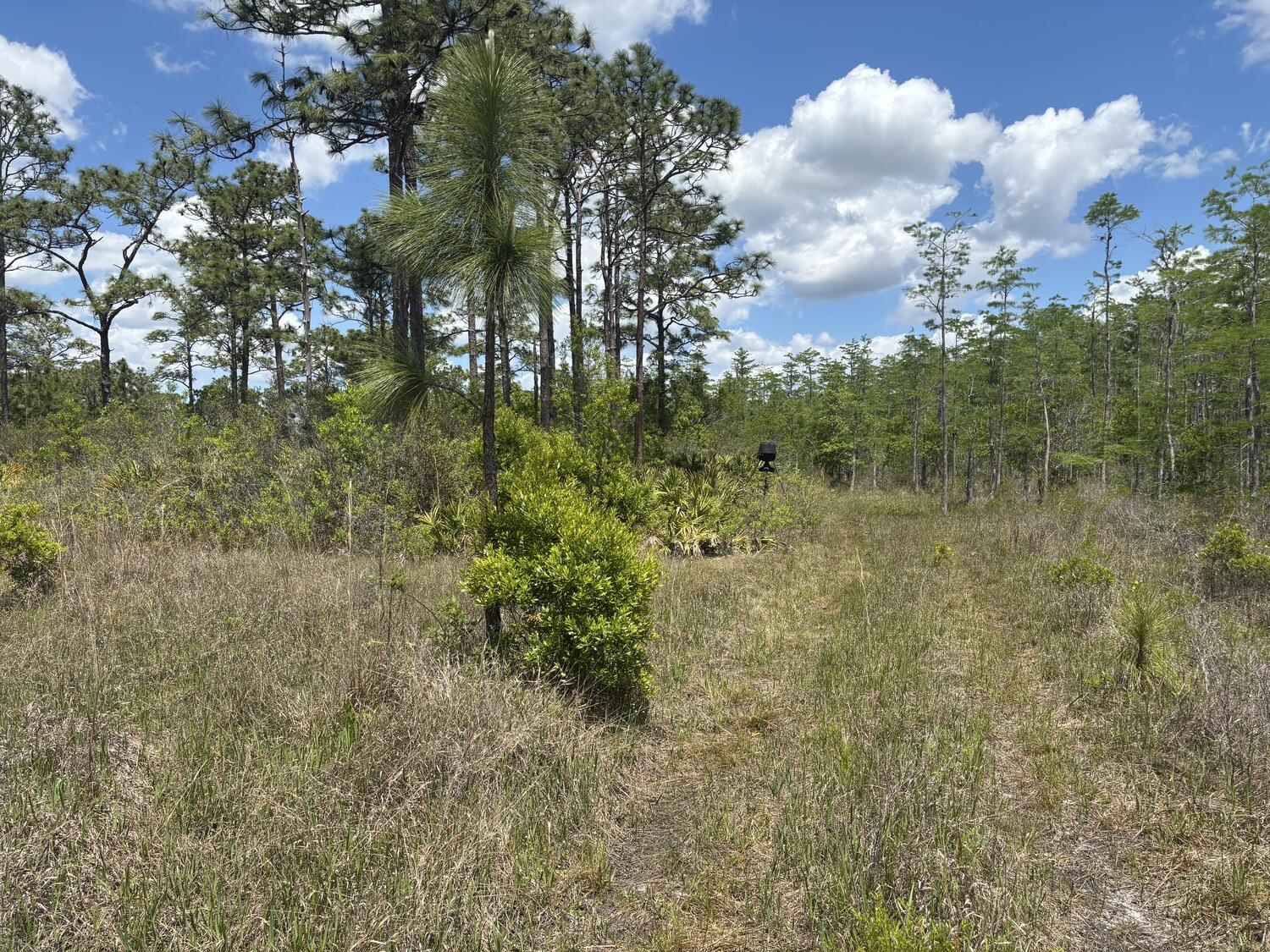 View details of listing 0 Holopaw Groves Road, St. Cloud, FL 34772 St. Cloud with MLS#