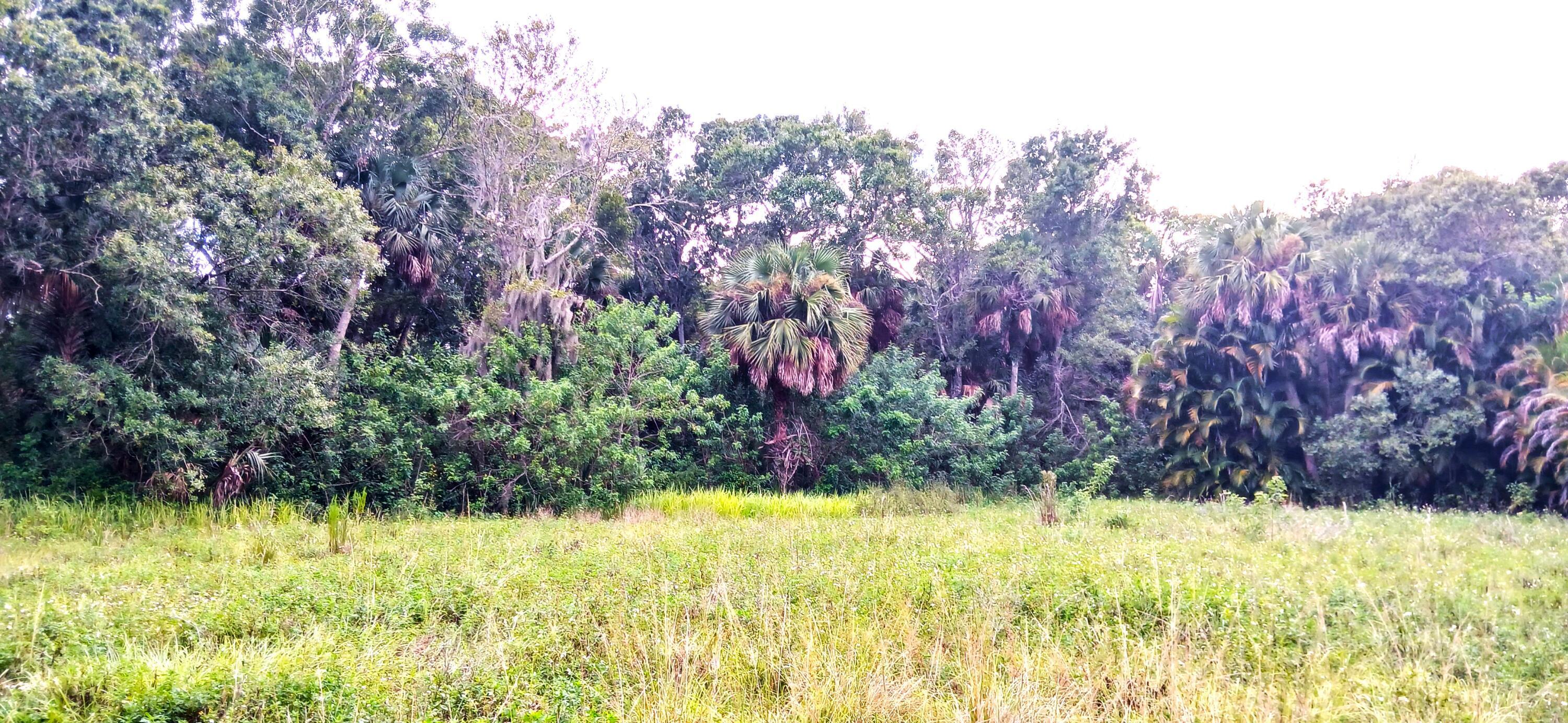 View details of listing 0000 S Us-1, Fort Pierce, FL 34982 Fort Pierce with MLS# 