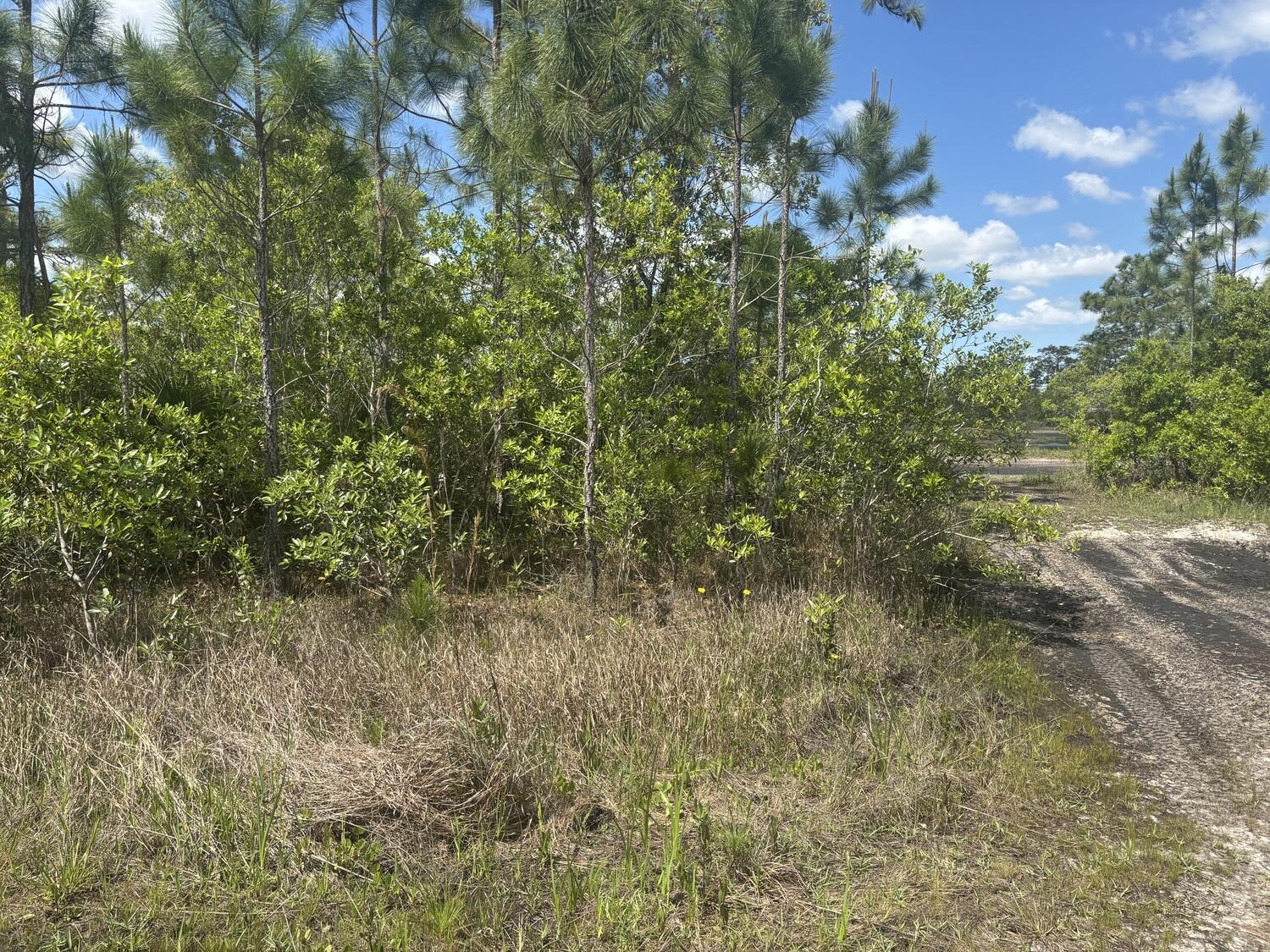 View details of listing 0 Holopaw Groves Road, St. Cloud, FL 34772 St. Cloud with MLS#