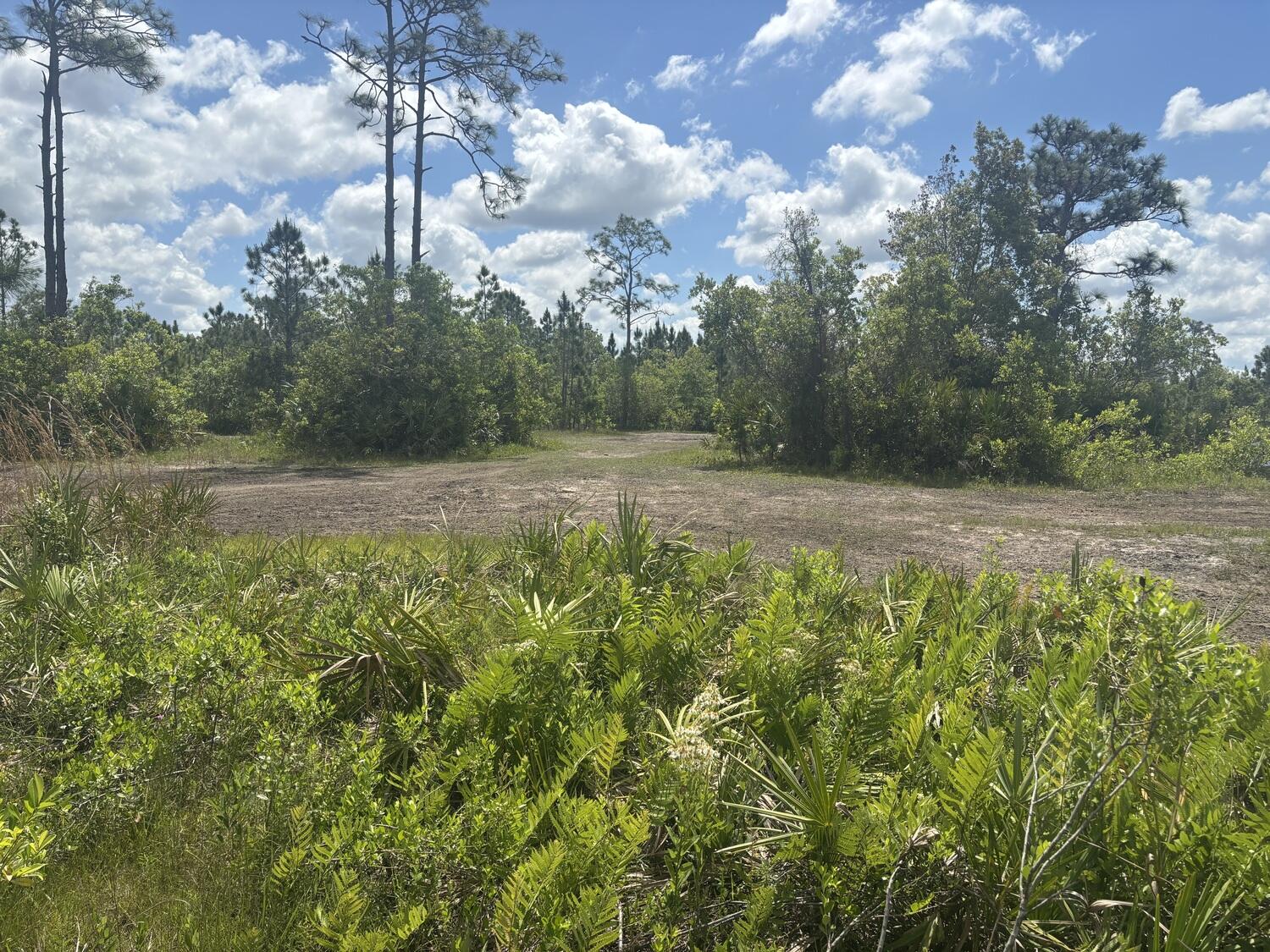 View details of listing 0 Holopaw Groves Road, St. Cloud, FL 34772 St. Cloud with MLS#