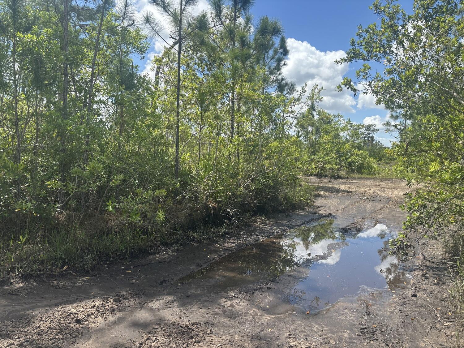 View details of listing 0 Holopaw Groves Road, St. Cloud, FL 34772 St. Cloud with MLS#
