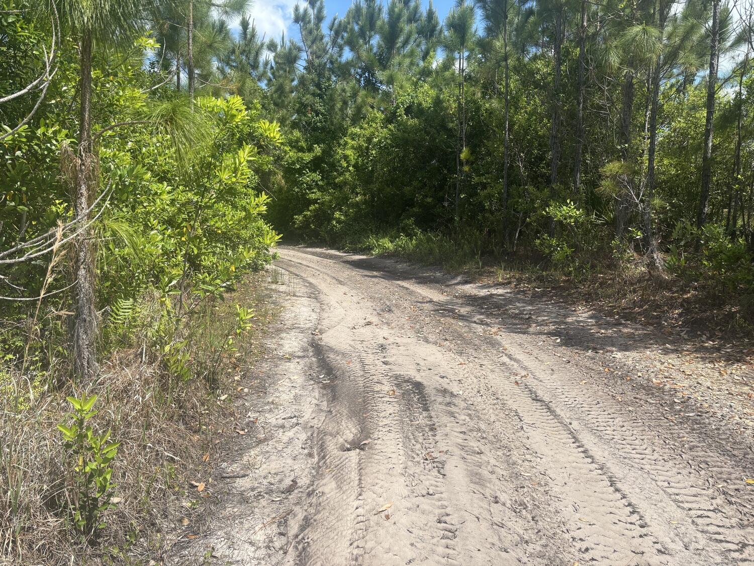 View details of listing 0 Holopaw Groves Road, St. Cloud, FL 34772 St. Cloud with MLS#