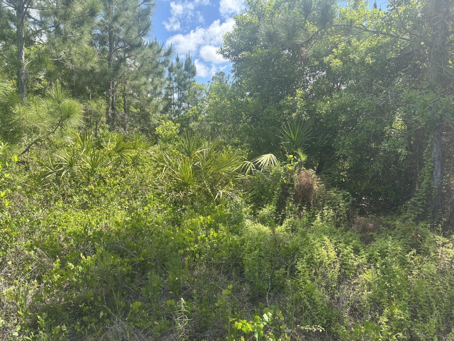 View details of listing 0 Holopaw Groves Road, St. Cloud, FL 34772 St. Cloud with MLS#