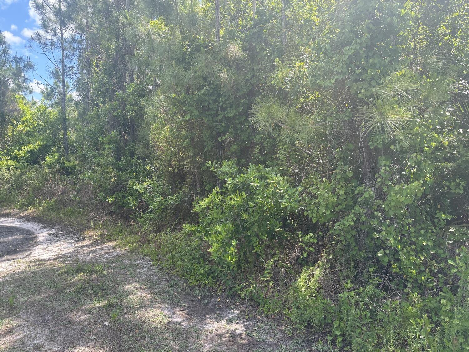 View details of listing 0 Holopaw Groves Road, St. Cloud, FL 34772 St. Cloud with MLS#
