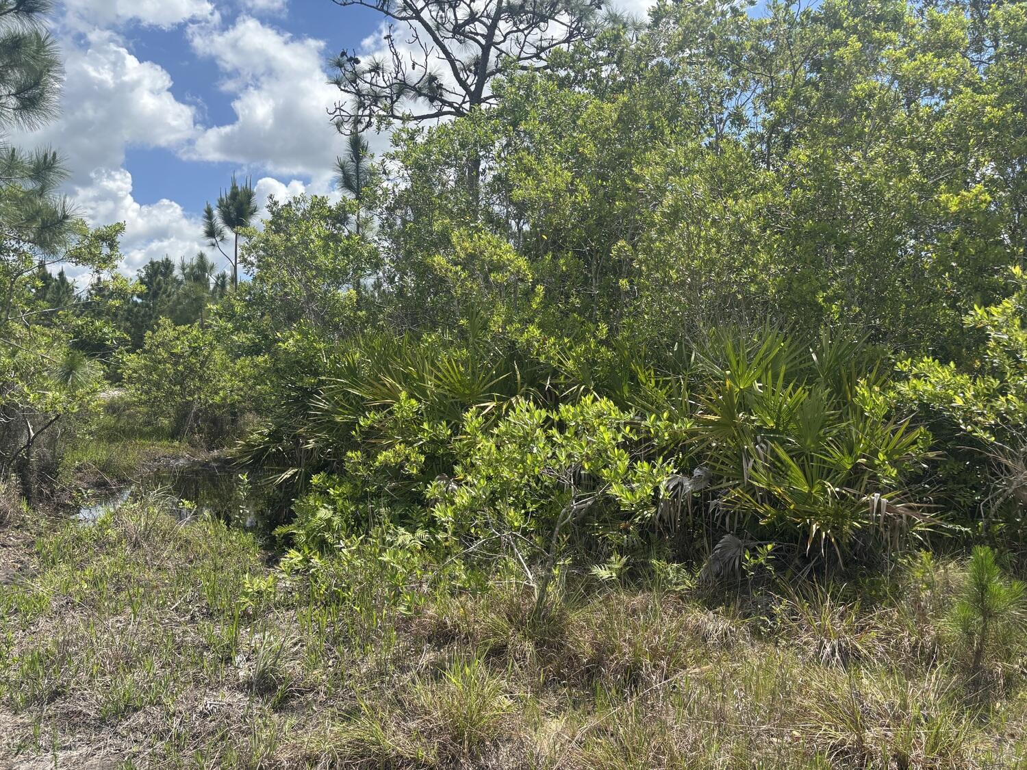 View details of listing 0 Holopaw Groves Road, St. Cloud, FL 34772 St. Cloud with MLS#