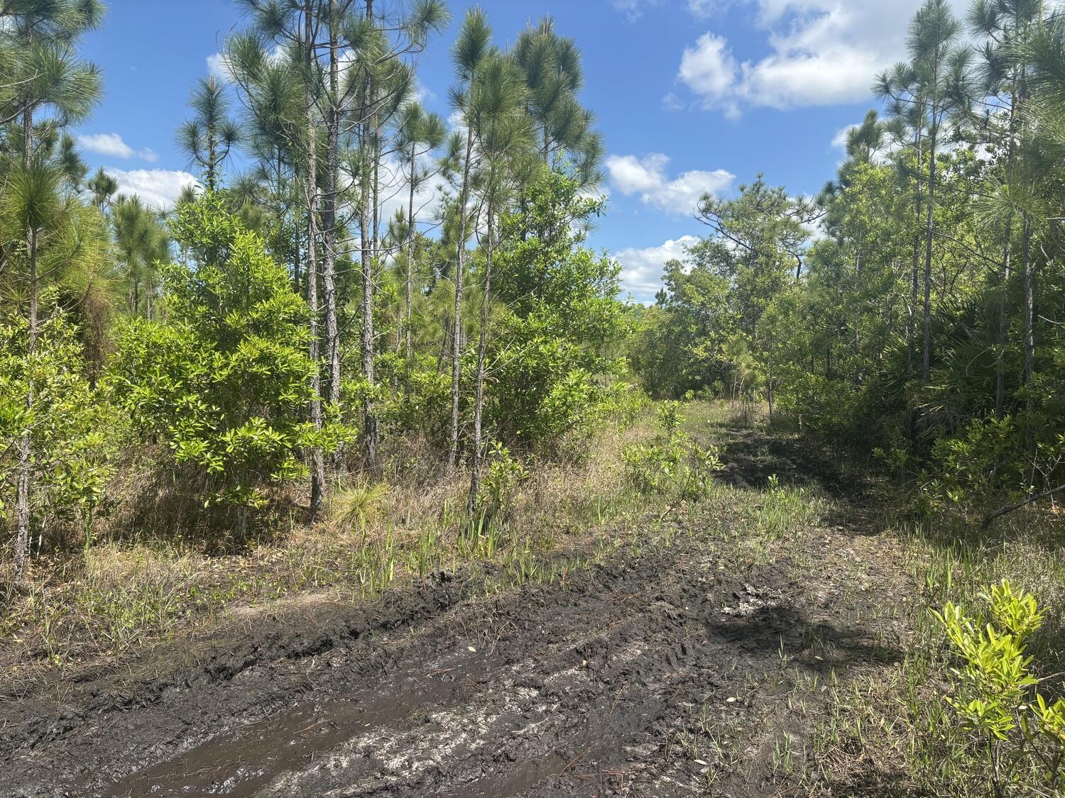 View details of listing 0 Holopaw Groves Road, St. Cloud, FL 34772 St. Cloud with MLS#