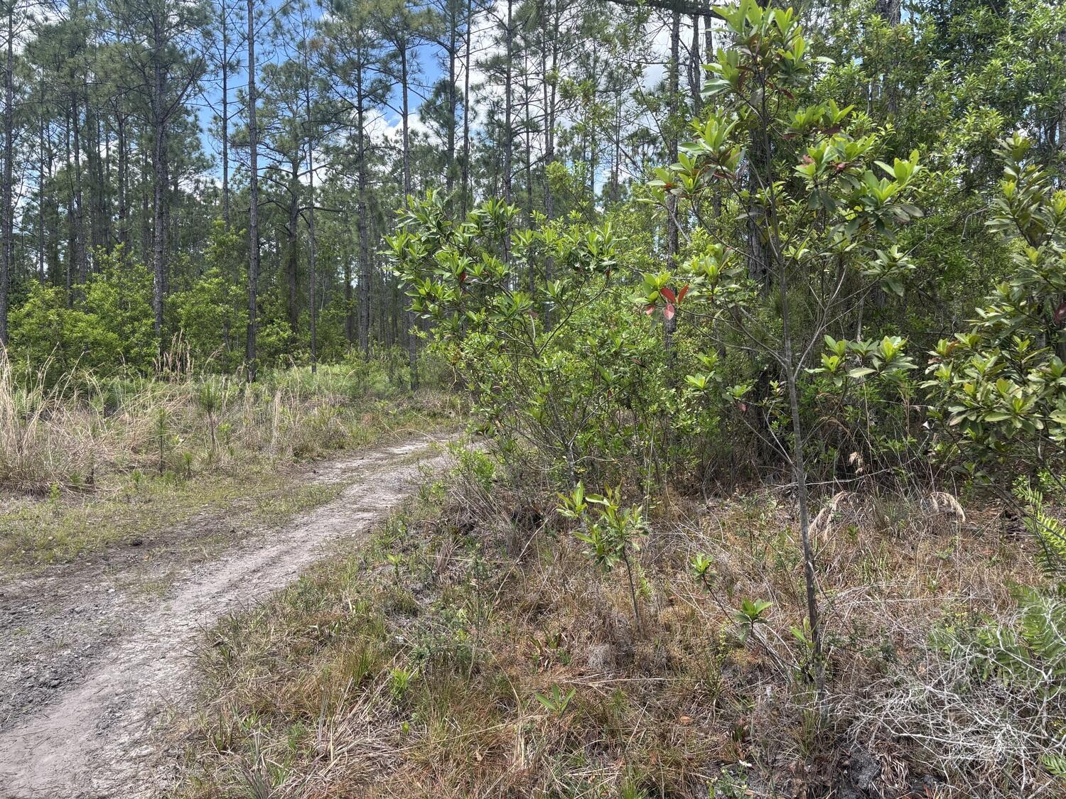 View details of listing 0 Holopaw Groves Road, St. Cloud, FL 34772 St. Cloud with MLS#