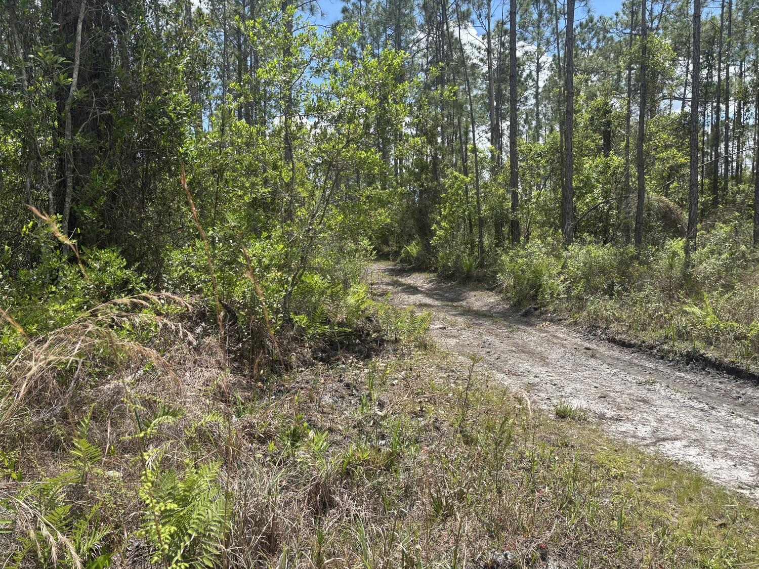View details of listing 0 Holopaw Groves Road, St. Cloud, FL 34772 St. Cloud with MLS#