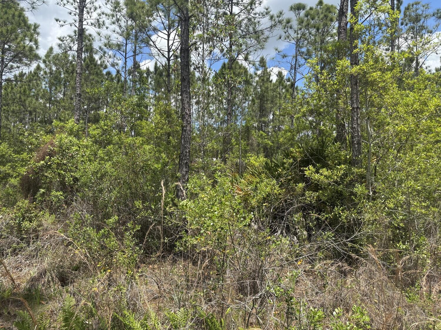 View details of listing 0 Holopaw Groves Road, St. Cloud, FL 34772 St. Cloud with MLS#