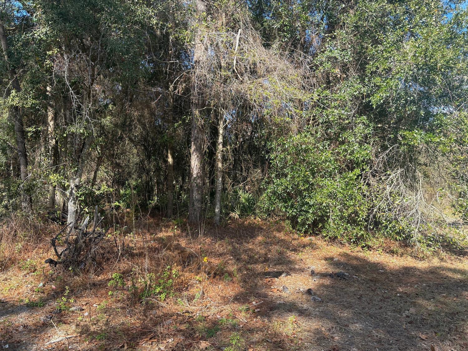 View details of listing 7178 W Wildfire Lane, Homosassa, FL 34448 Homosassa with MLS#