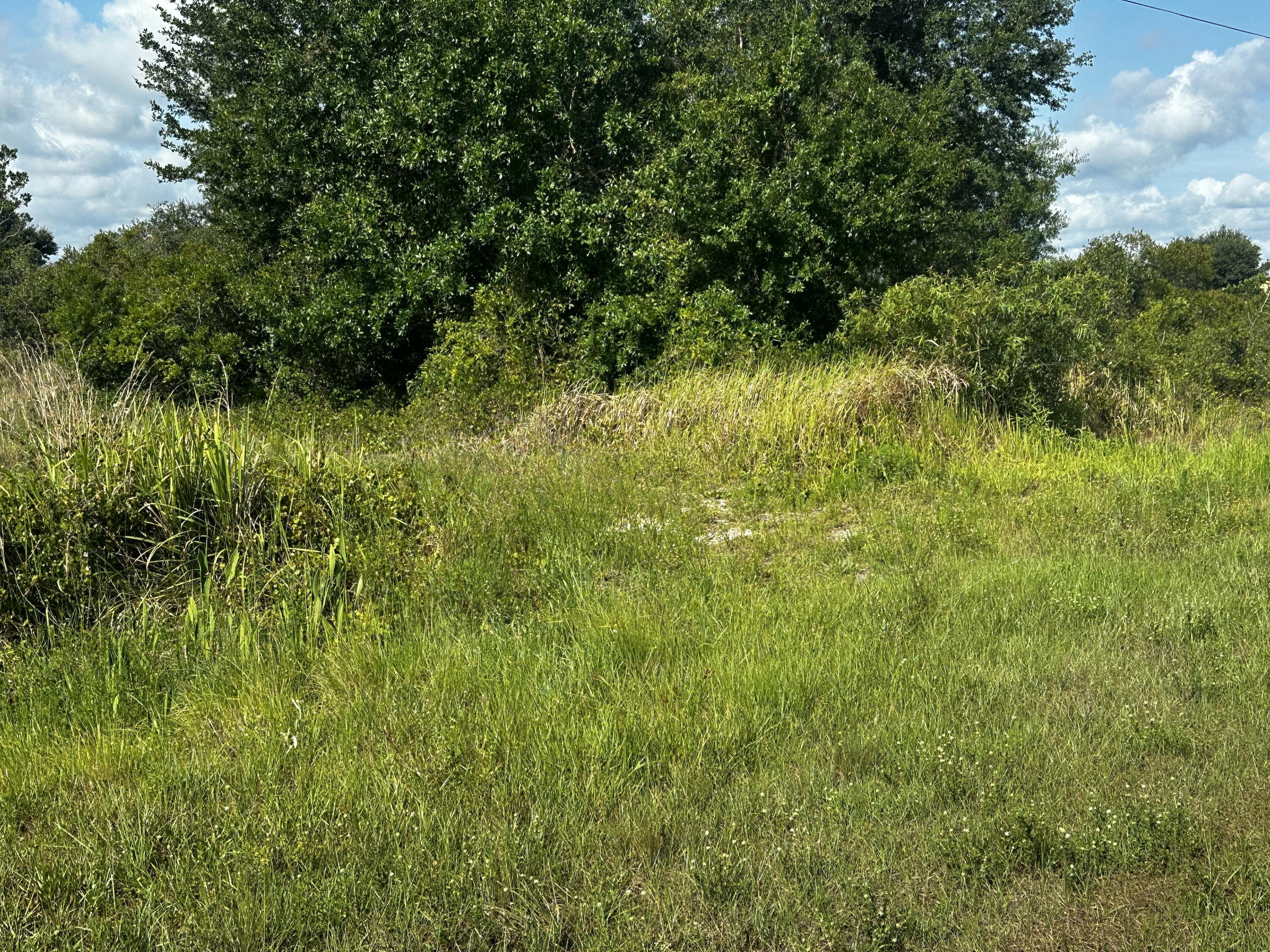 Listing  15138 NW 262nd Street, Okeechobee, FL 34972, Okeechobee, FL 34972