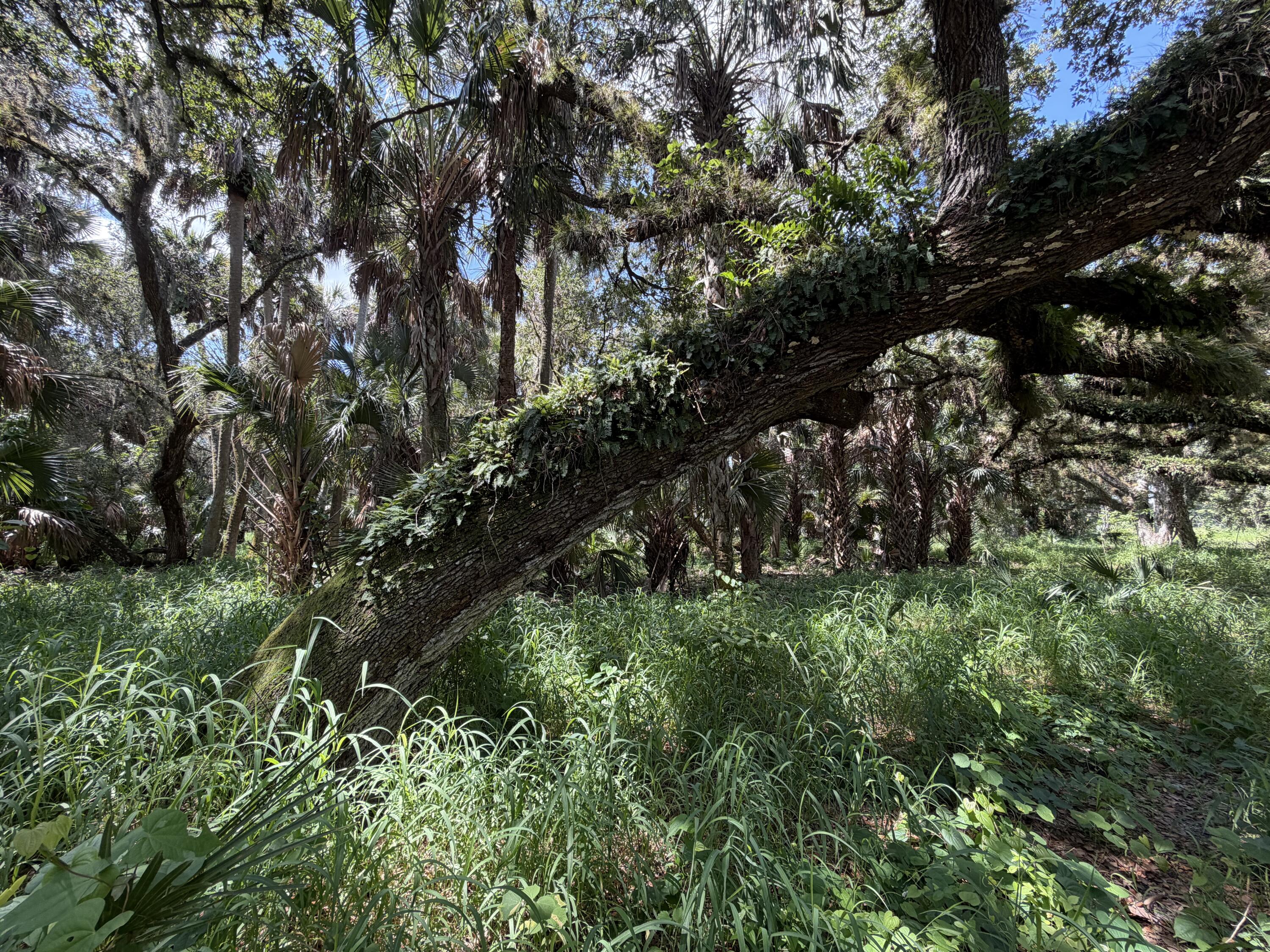 Listing  16477 NW 192nd Street, Okeechobee, FL 34972, Okeechobee, FL 34972