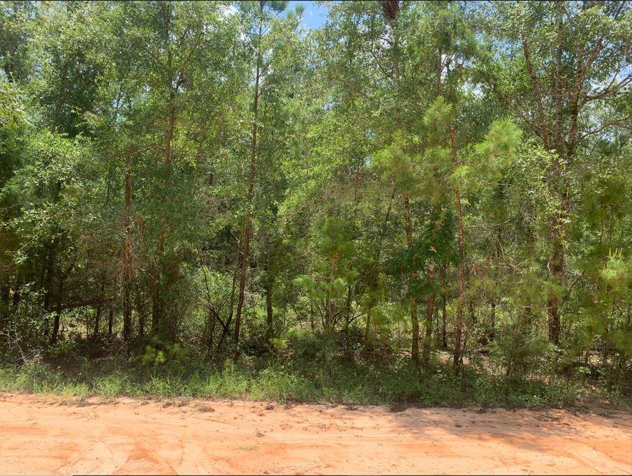 View details of listing 115 Florida Boulevard, Satsuma, FL 32189 Satsuma with MLS# 