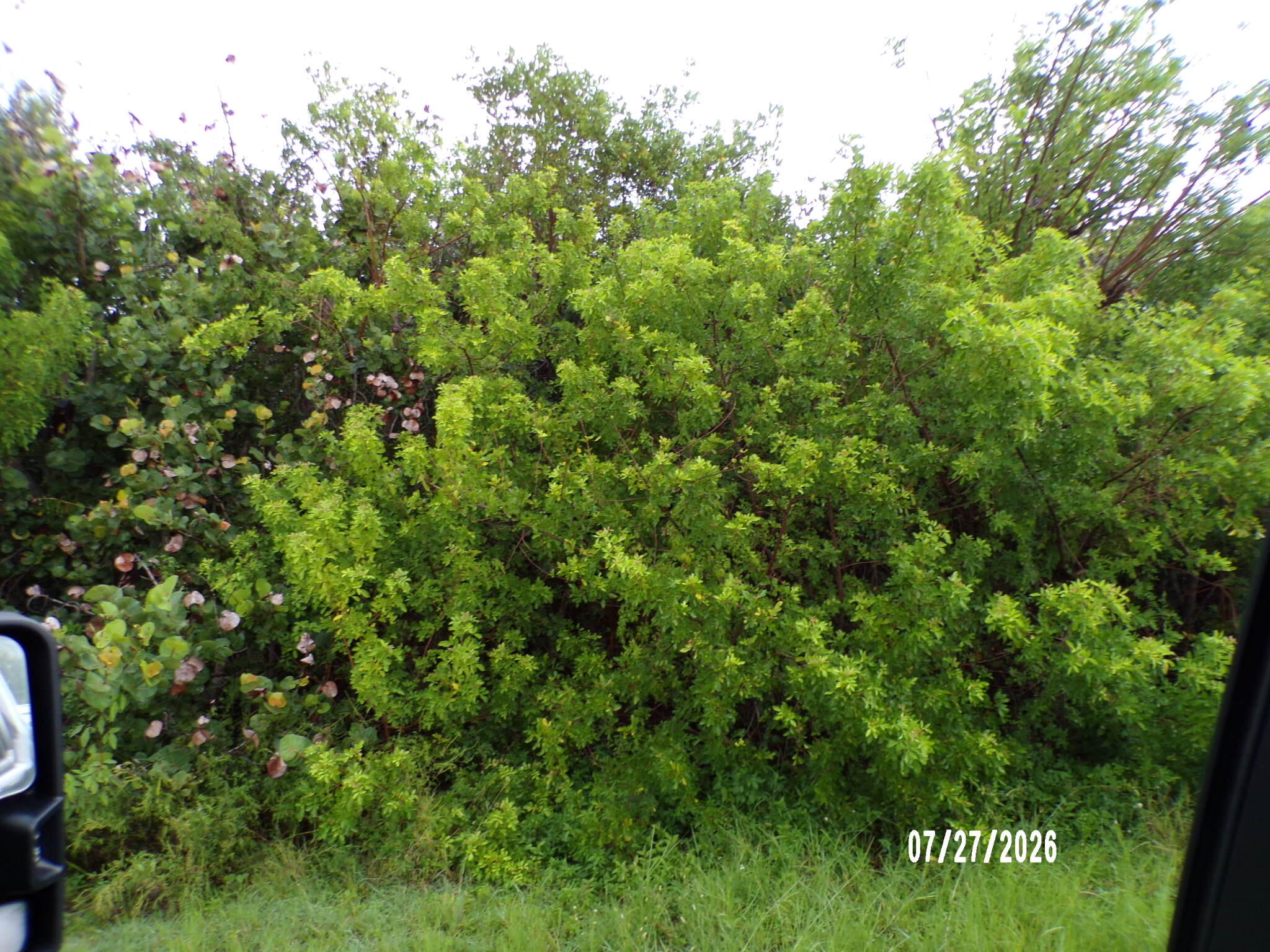 Listing  5306 Silver Oak Drive, Fort Pierce, FL 34982, Fort Pierce, FL 34982