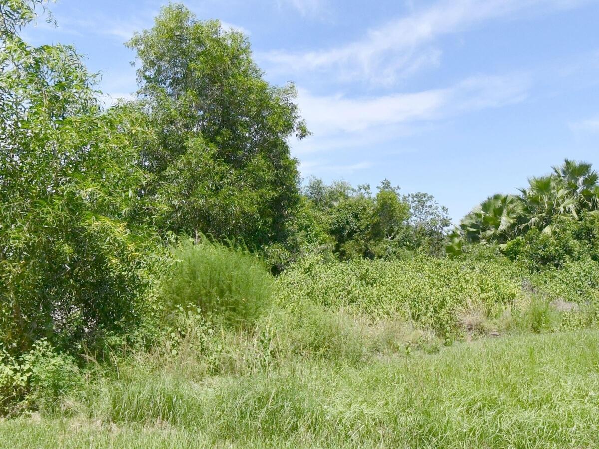 Listing  3080 SE FARLEY Road, Port St. Lucie, FL 34952, Port St. Lucie, FL 34952