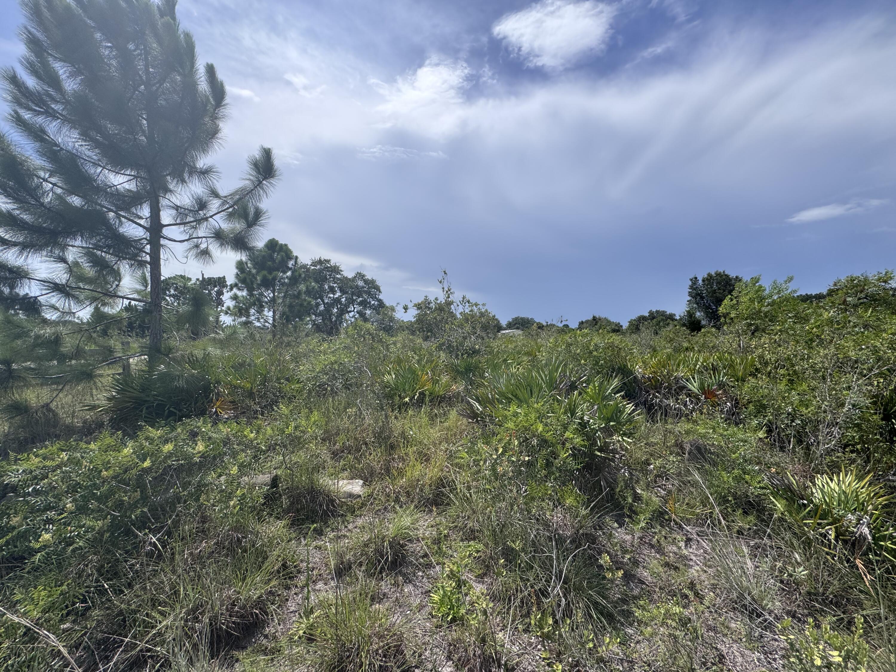 Listing  20589 NW 254TH Street, Okeechobee, FL 34972, Okeechobee, FL 34972