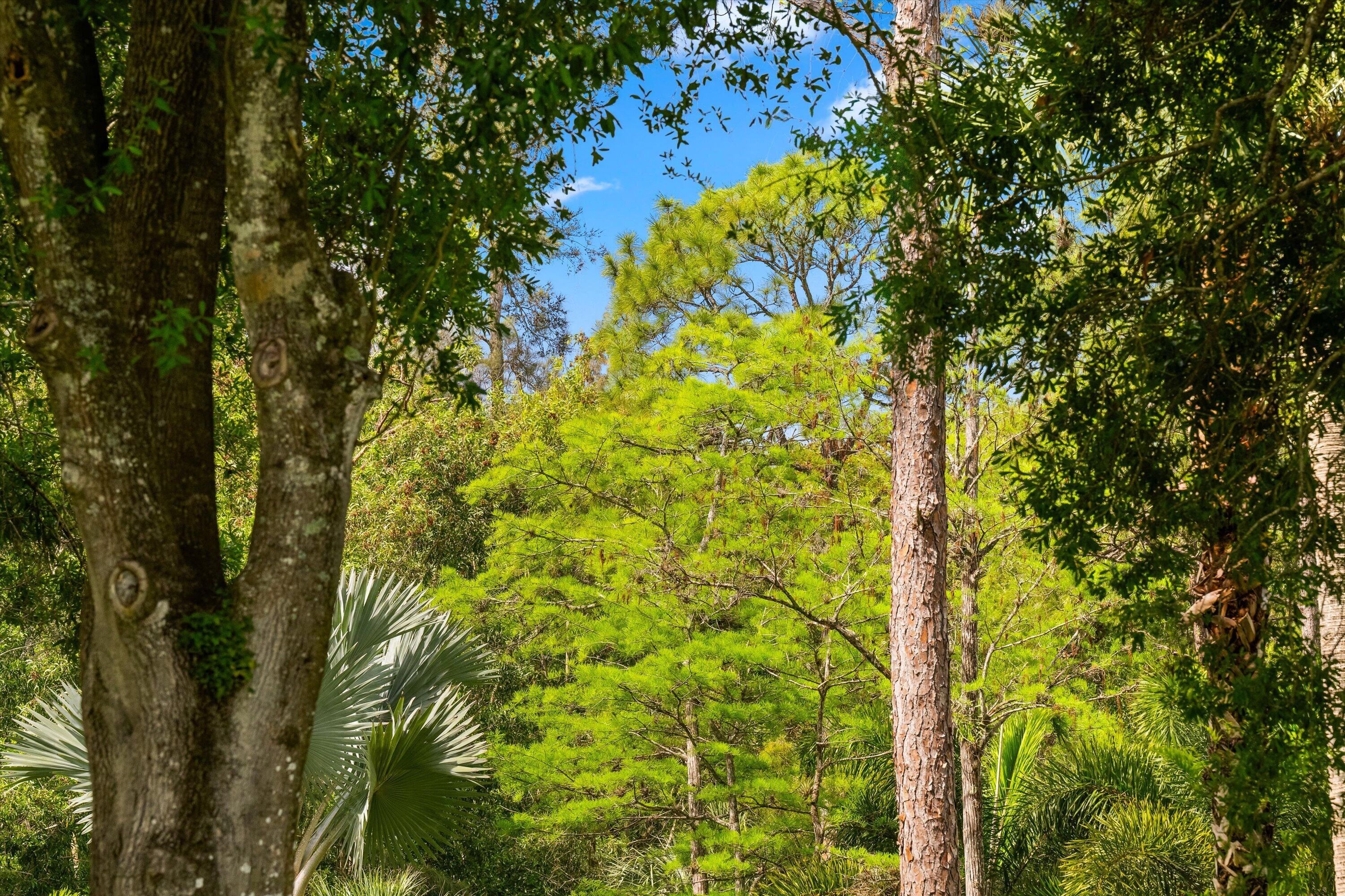 Listing  Tbd F Road, Loxahatchee Groves, FL 33470, Loxahatchee Groves, FL 33470