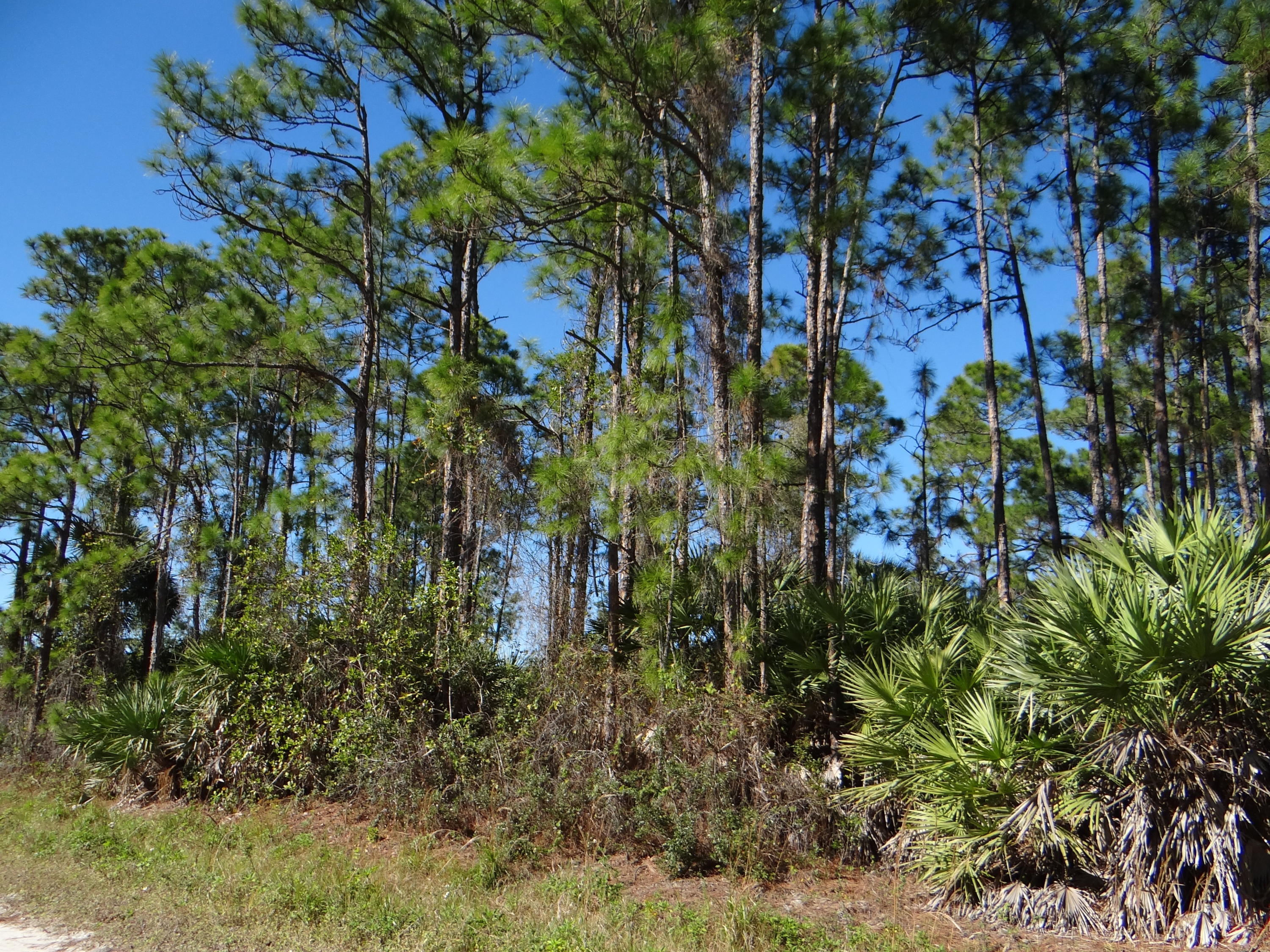 View details of listing L-28 N 67 Court N, The Acreage, FL 33470 The Acreage with MLS#