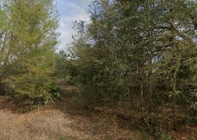 Listing  Tba Lenore Avenue, Interlachen, FL 32148, Interlachen, FL 32148
