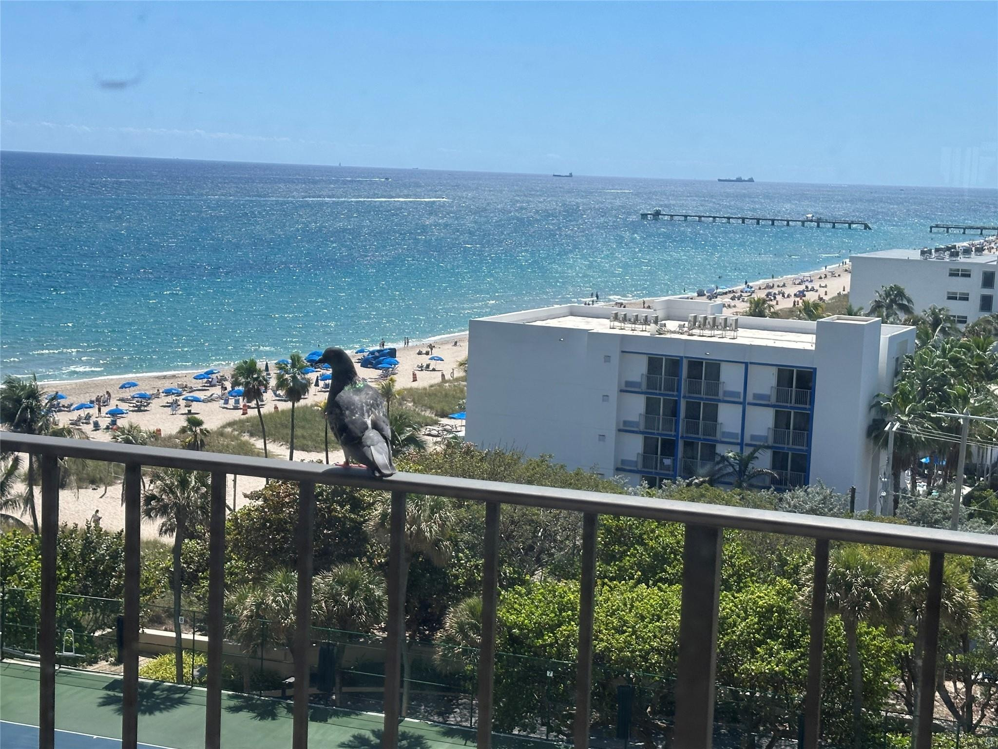 Listing  4900 N OCEAN Boulevard 1003, Lauderdale-By-The-Sea, FL 33308, Lauderdale-By-The-Sea, FL 33308