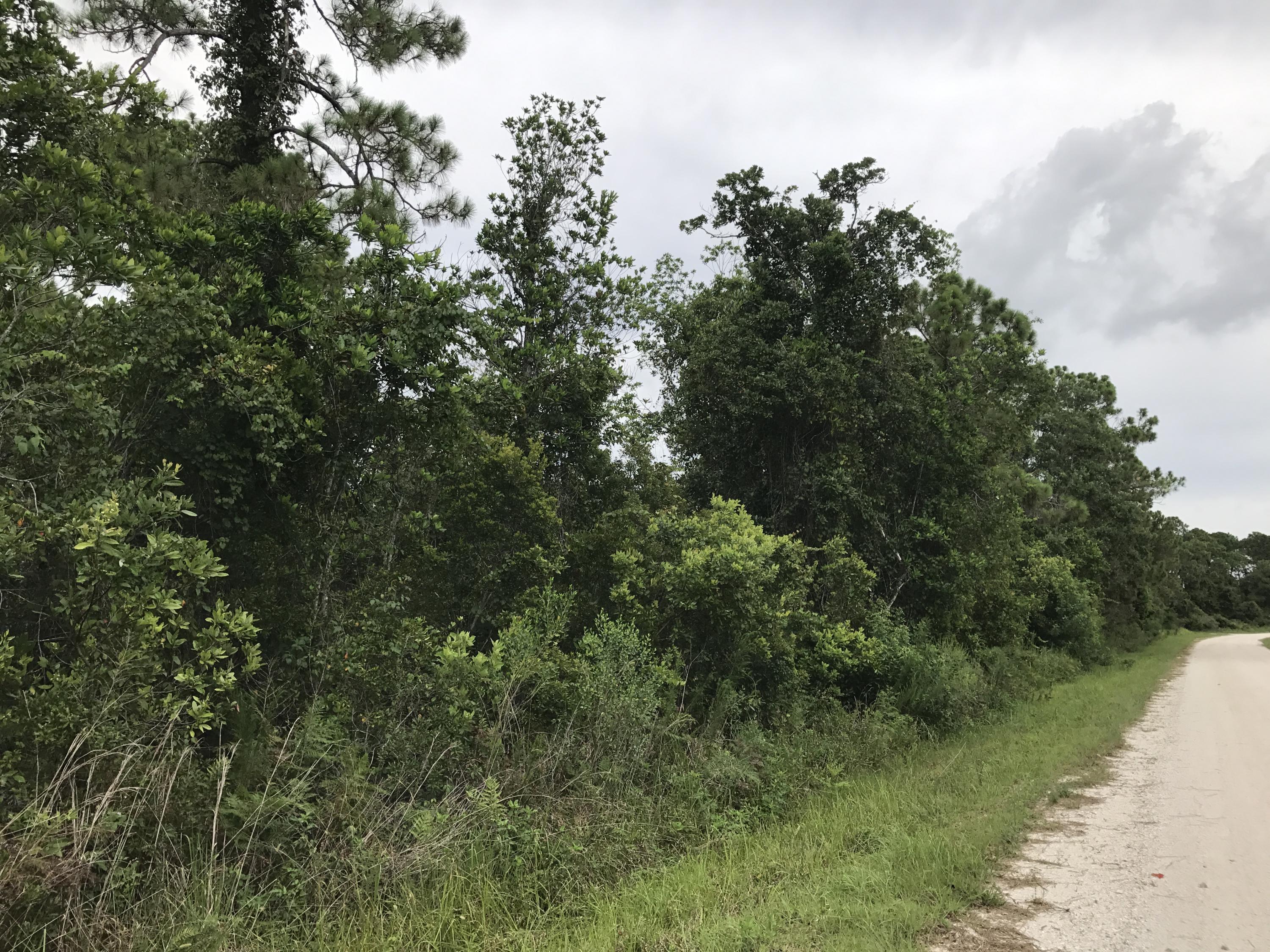 Listing  1126 Greenfield Street, Lake Placid, FL 33852, Lake Placid, FL 33852