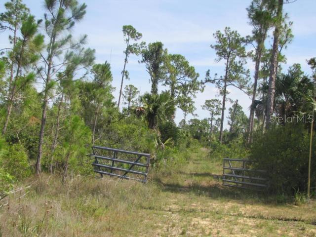 View details of listing BEAL LN NORTH FORT MYERS with MLS# C7503984