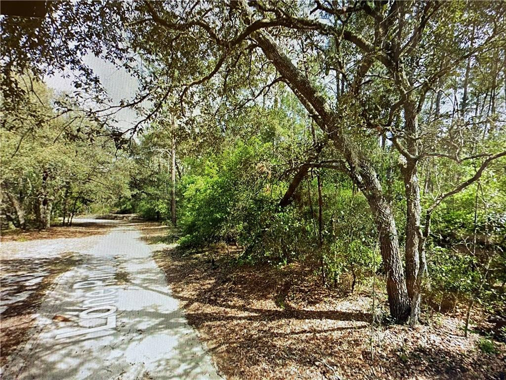 View details of listing 0000 Lone Pine Trail, FL 32666  with MLS# 