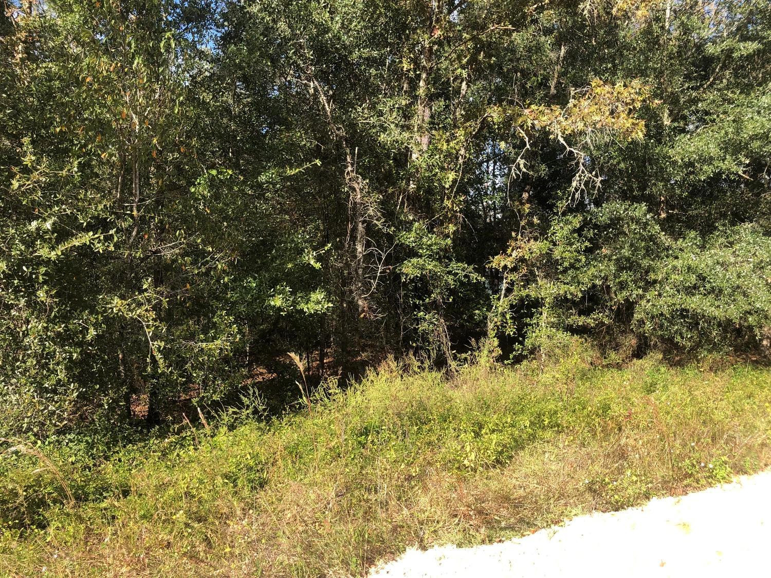 View details of listing 0 Evans Avenue, Interlachen, FL 32148 Interlachen with MLS# 