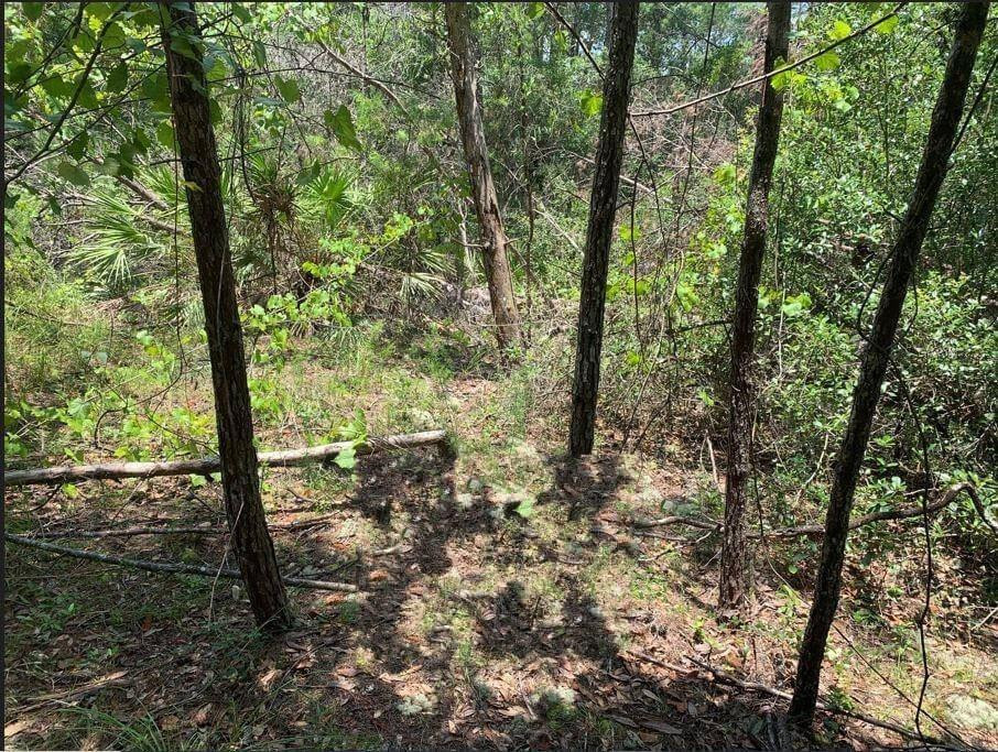 View details of listing 213 Kansas Street, Satsuma, FL 32189 Satsuma with MLS# 