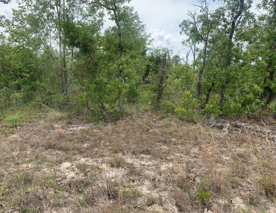 Listing  0 Monroe Street, Interlachen, FL 32148, Interlachen, FL 32148