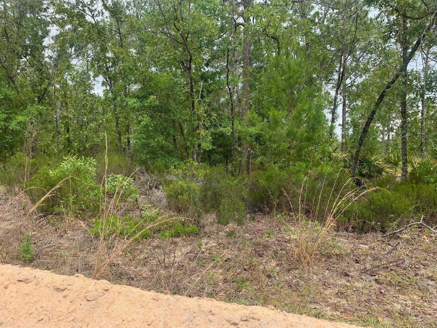 View details of listing 0 Miami Street, Interlachen, FL 32148 Interlachen with MLS# 