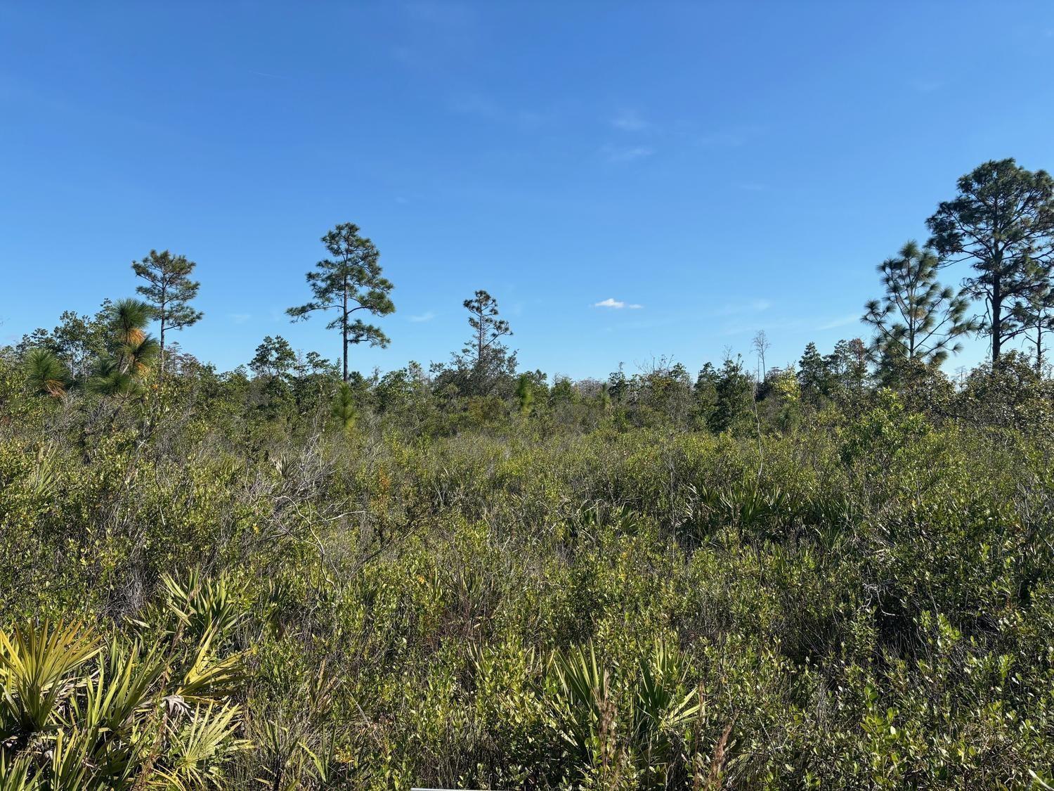 View details of listing 0 Holopaw Groves Road, St. Cloud, FL 34772 St. Cloud with MLS#