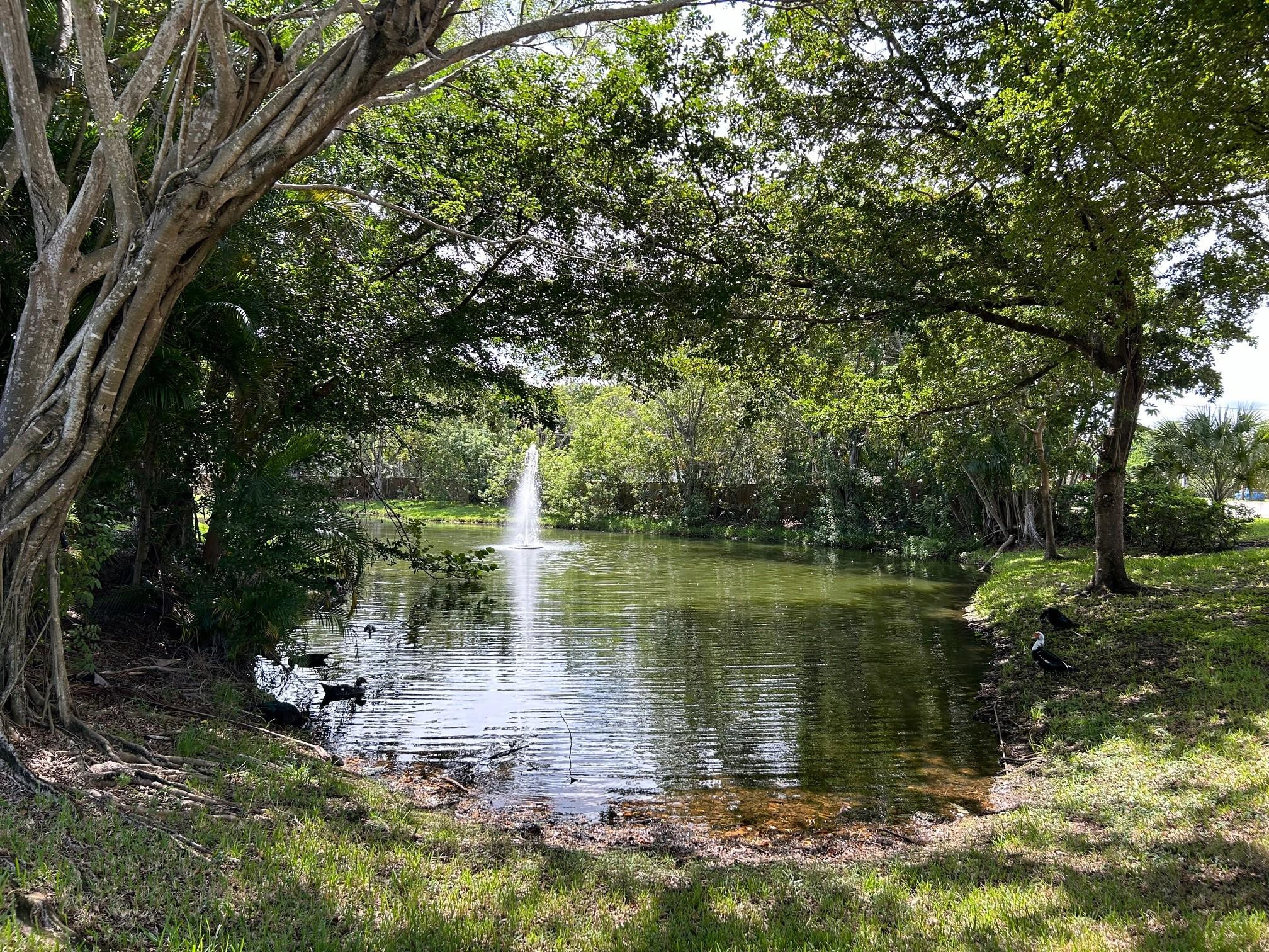 View details of listing 9999 Summerbreeze Drive 105, Sunrise, FL 33322 Sunrise with MLS#