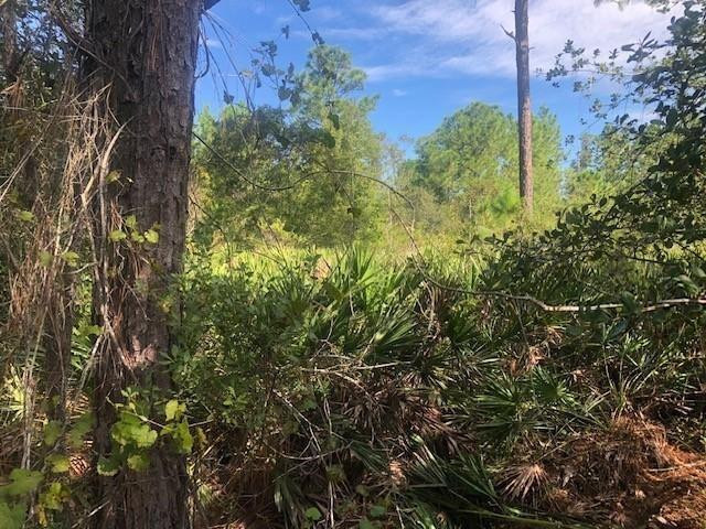 View details of listing 0 Old Grade Road, FL 33868 with MLS#