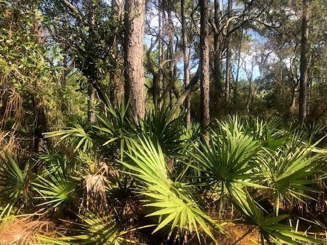 View details of listing 0 Old Grade Road, FL 33868 with MLS#