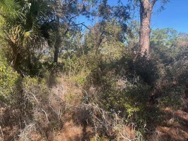 View details of listing 221 Rainbow Drive, Lake Placid, FL 33852 Lake Placid with MLS#