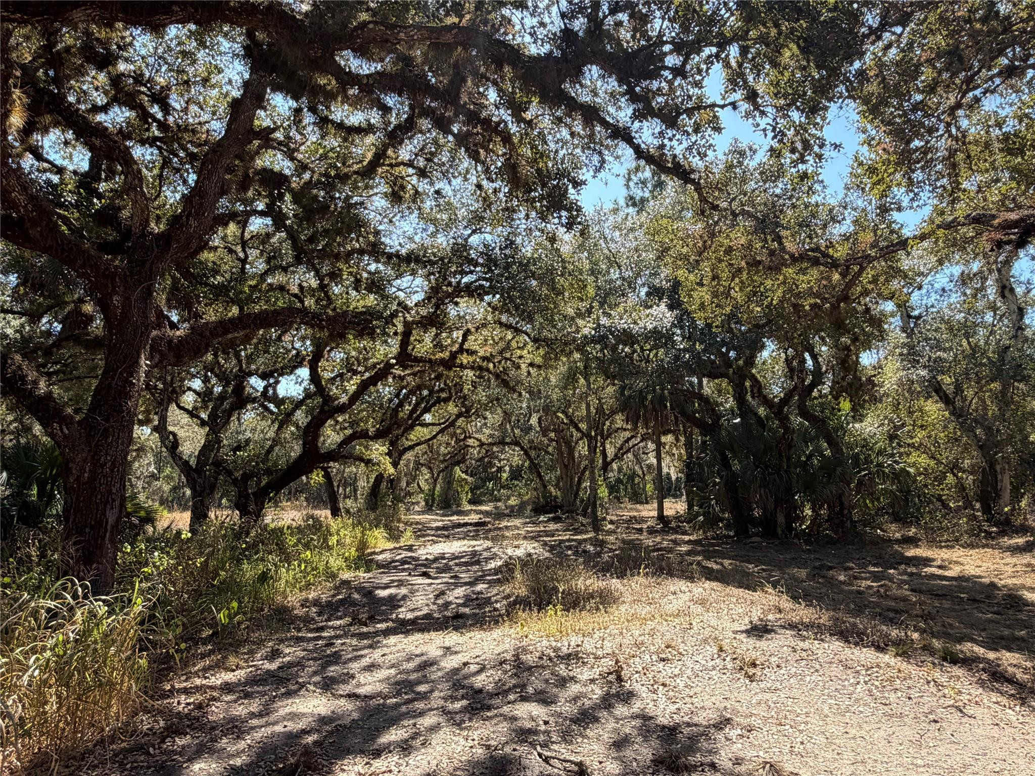 View details of listing Tbd SE 40th Avenue, Okeechobee, FL 34974 Okeechobee with MLS#