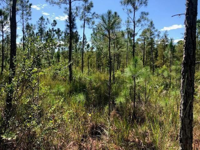 View details of listing 0 Old Grade Road, FL 33868 with MLS#